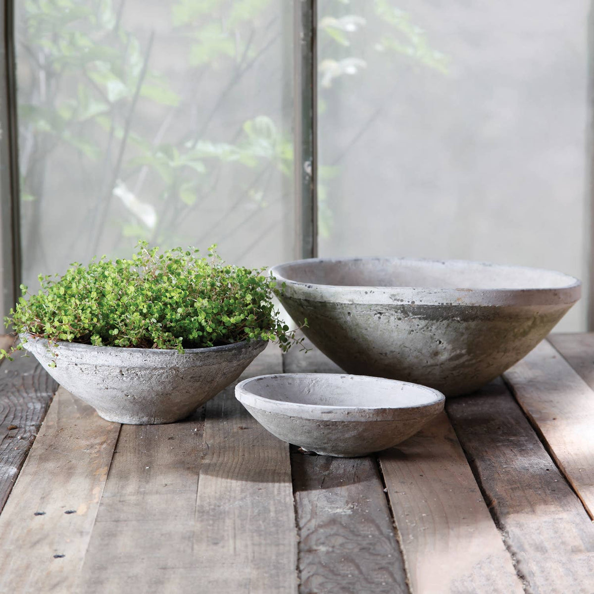 Three rustic terracotta on a wooden surface with a blurred natural background